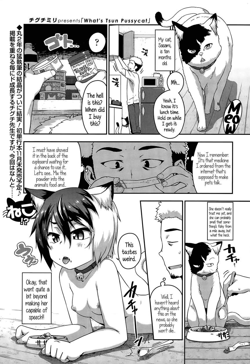 Reading What’s Tsun Pussycat Hentai 1 What’s Tsun Pussycat [oneshot] Page 1 Hentai Manga