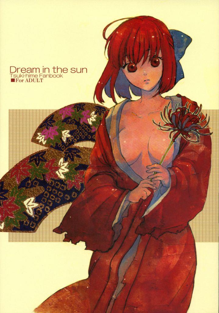 Reading Dream In The Sun Doujinshi Hentai By Aihara Otome 1 Dream In The Sun [oneshot